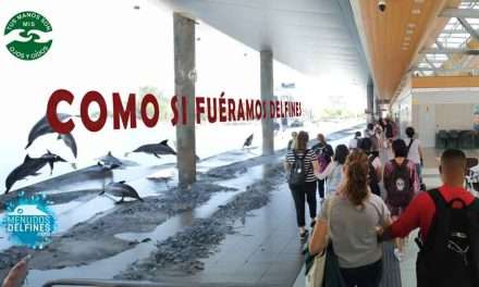 ¡Como si fuéramos delfines!