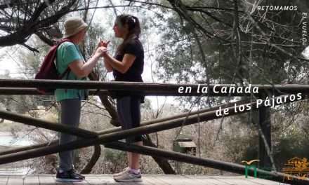 Volvemos a alzar el vuelo
