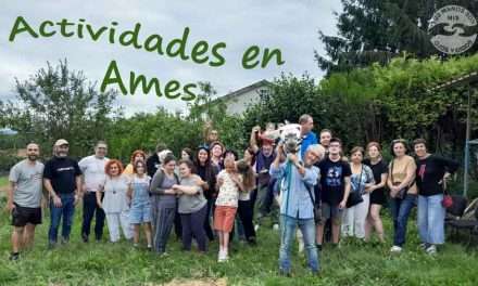 Actividades en Galicia: Ames