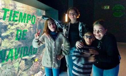 Tiempo de Navidad, tiempo especial
