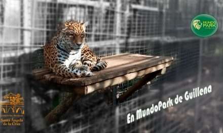 Visita a MundoPark de Guillena