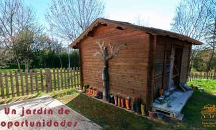 Un jardín de oportunidades