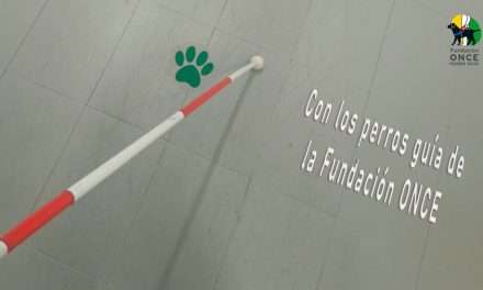 Exhibición de perros guía de la Fundación Once