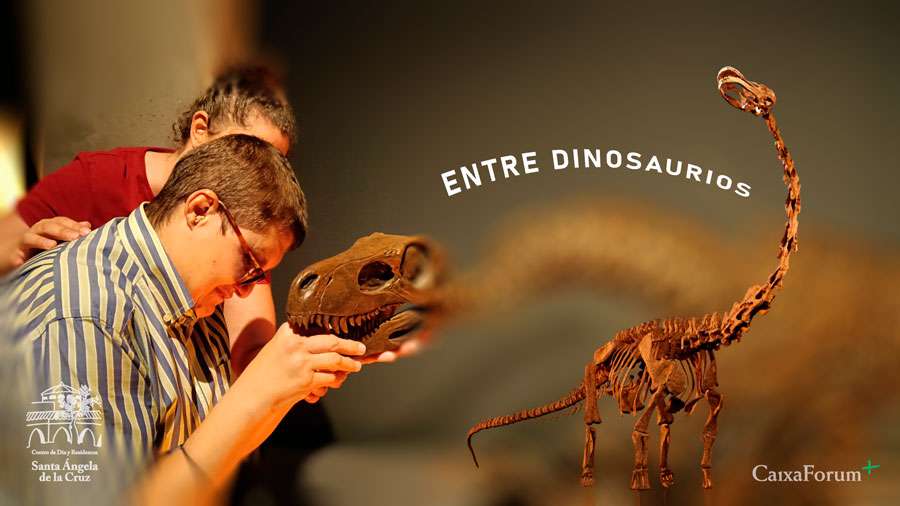 Entre dinosaurios